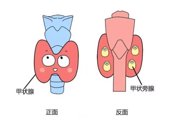 圖片2.jpg